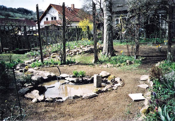 Kleiner Teich mit Bachlauf 2004