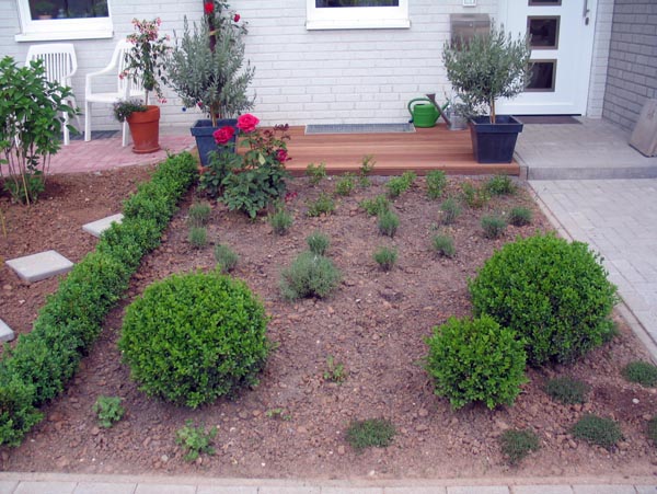 Pflanzung Vorgarten - Mai 2005 05.jpg Vorgarten Sommer 2006