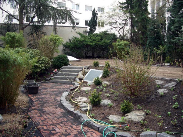 Pflanzung Ende April 2005